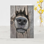 犬の鼻を持つフェンス カード (黄色い花)