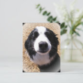犬の鼻葉書 ポストカード (スタンド正面)