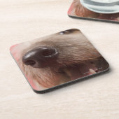 犬の鼻 コースター (左側)