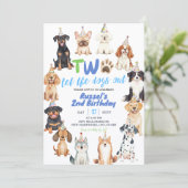犬の2歳の誕生日 招待状 (スタンド正面)
