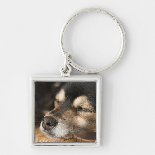 犬の2睡眠 キーホルダー (正面)