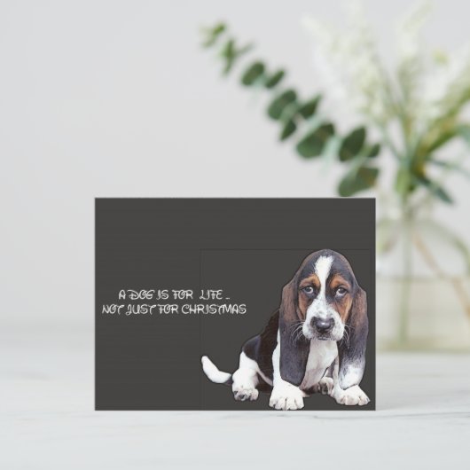 犬の ポストカード (スタンド正面)