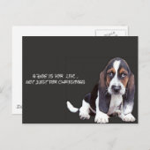 犬の ポストカード (正面/裏面)