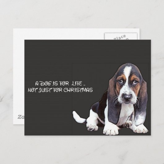 犬の ポストカード (正面/裏面)