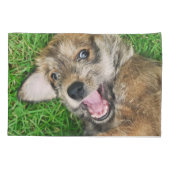 犬のBerger笑うPicardの子犬おもしろいなPillowcover 枕カバー (裏面)