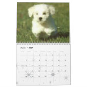 犬のcalander カレンダー (3月 2027)