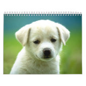 犬のcalander カレンダー (カバー)