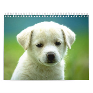 犬のcalander カレンダー