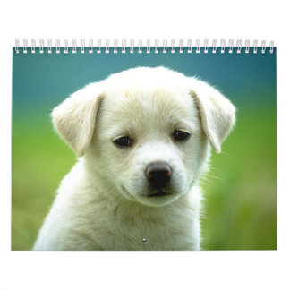 犬のcalander カレンダー