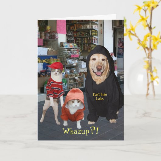 犬のWhazupのカスタマイズ可能でおもしろいなペットか猫または誕生日 カード (黄色い花)