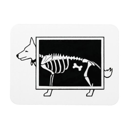犬のX線 マグネット (横)