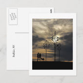 犬はがき ポストカード (正面/裏面)