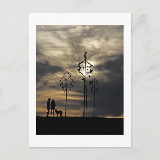 犬はがき ポストカード (正面)