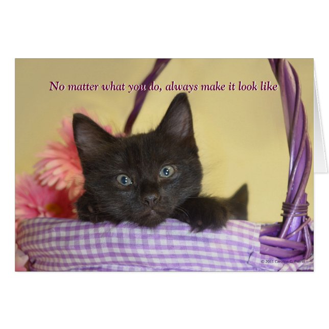 犬はそれをしました (正面横)