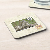 犬はなぜこれをそう困難見つけますか。 コースター (左側)