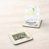 犬はなぜこれをそう困難見つけますか。 コースター (右側)