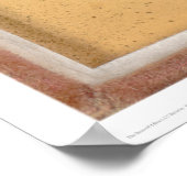 犬はシェルダン・ニコルズ所有(39986) ポスター (角)