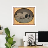 犬はシェルダン・ニコルズ所有(39986) ポスター (ホームオフィス)