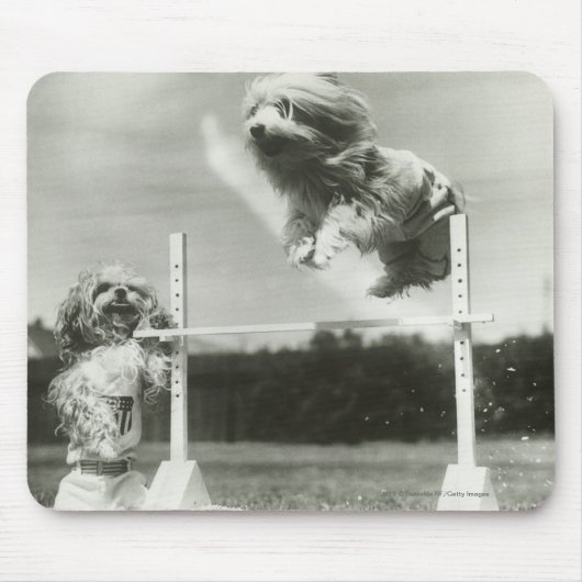 犬はミニチュアハイジャンプのバーを飛び越している マウスパッド (正面)