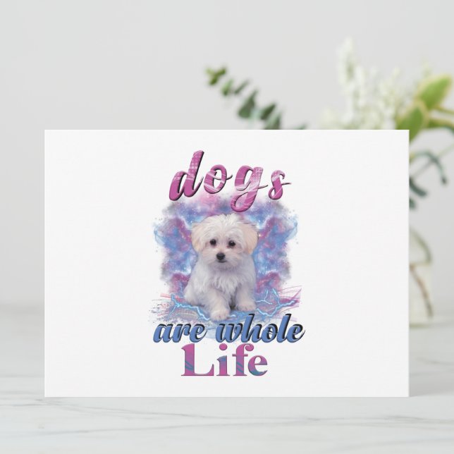 犬は一生 (スタンド正面)