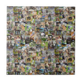 犬は写真コラージュを育てている。 タイル (正面)