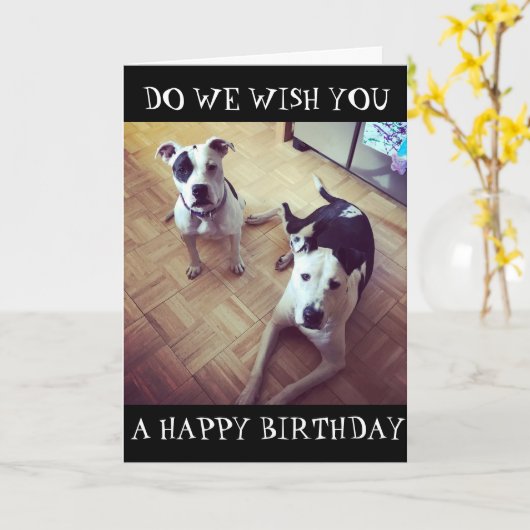 *犬は右に行った*我々はハッピーバースデーを願う！ カード (黄色い花)