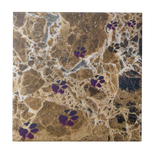 犬は大理石ブラウンを足で歩く |セラミックタイル タイル (正面)