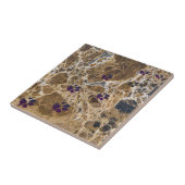 犬は大理石ブラウンを足で歩く |セラミックタイル タイル (側面)