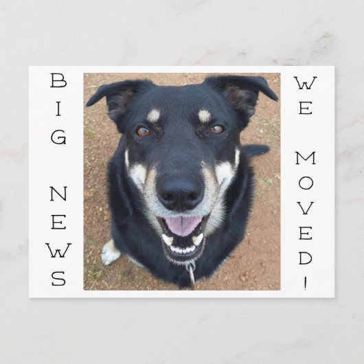 犬は幸せになった！ ポストカード (正面)