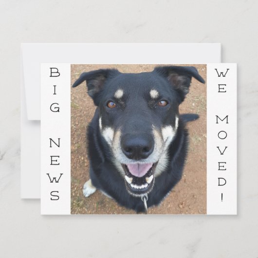 犬は幸せになった！ポストカード ノートカード (正面)