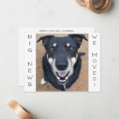 犬は幸せになった！ポストカード ノートカード (正面/裏面インサイチュ)