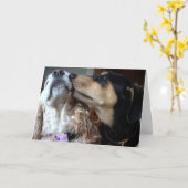 犬は本当の愛を語る。 カード (黄色い花)