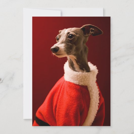 犬は父のクリスマスの衣服を身に着けています シーズンカード (正面)