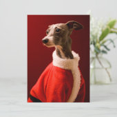 犬は父のクリスマスの衣服を身に着けています シーズンカード (スタンド正面)