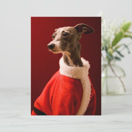 犬は父のクリスマスの衣服を身に着けています シーズンカード (スタンド正面)