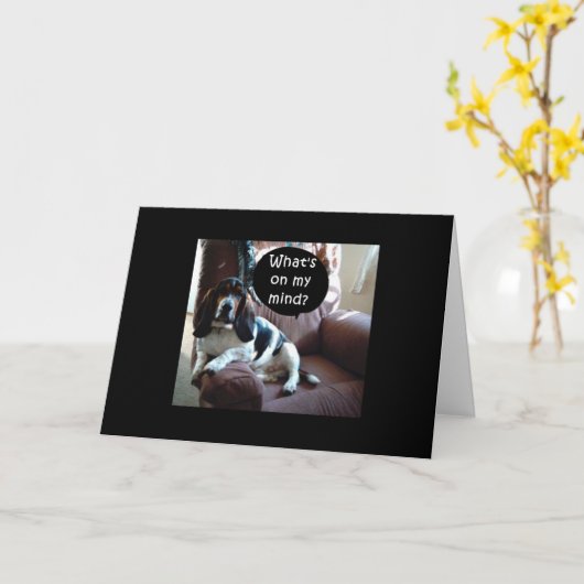 「犬は犬だが、犬は犬ではない」パーティー21位を望む カード (黄色い花)