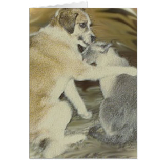 犬は猫を愛します