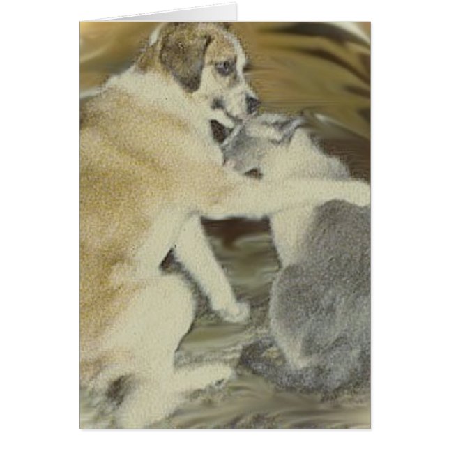 犬は猫を愛します (正面)