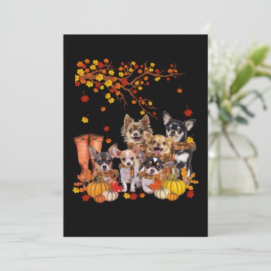 犬は私たちの人生を最後の洗礼にする サンキューカード (スタンド正面)