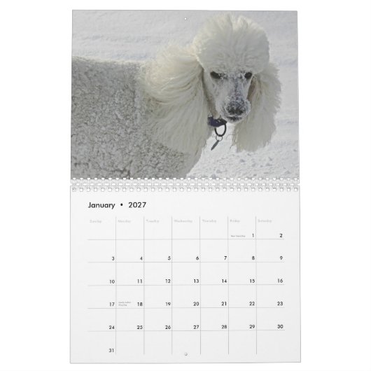 犬は花をかぐのに時間をかけます カレンダー (1月 2027)