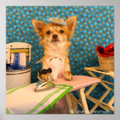 犬は鉄を引く ポスター (正面)