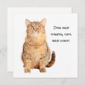 犬は飼い主、猫はスタッフはフラットカード (正面/裏面)