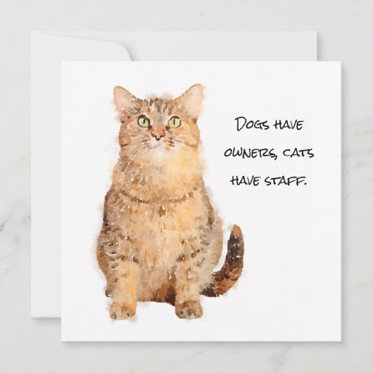犬は飼い主、猫はスタッフはフラットカード (正面)