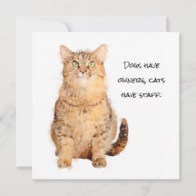 犬は飼い主、猫はスタッフはフラットカード