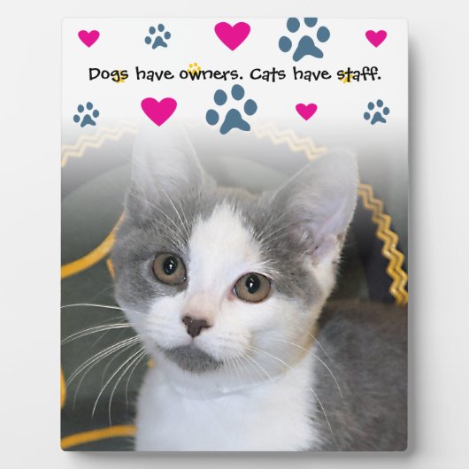 犬は飼い主、猫は杖を持つ フォトプラーク (正面)