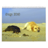 犬は2010年の間カレンダーに記録します カレンダー (カバー)