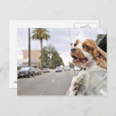 犬ぶら下がったが窓から外へ ポストカード (正面/裏面)