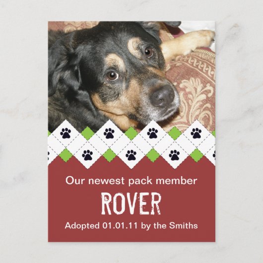 犬または子犬の採用の発表 案内ポストカード (正面)