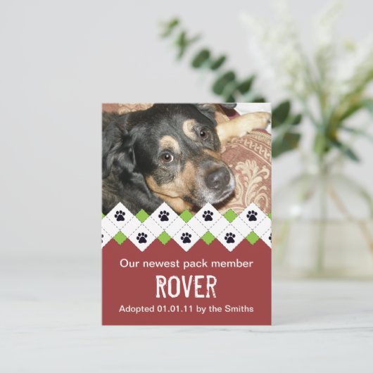 犬または子犬の採用の発表 案内ポストカード (スタンド正面)