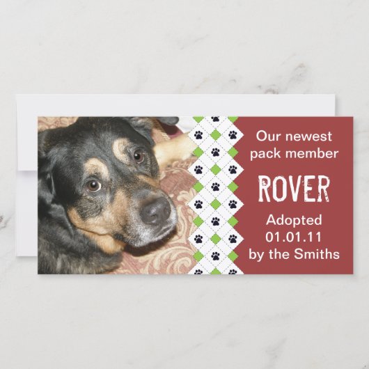 犬または子犬の採用の発表 案内状 (正面)